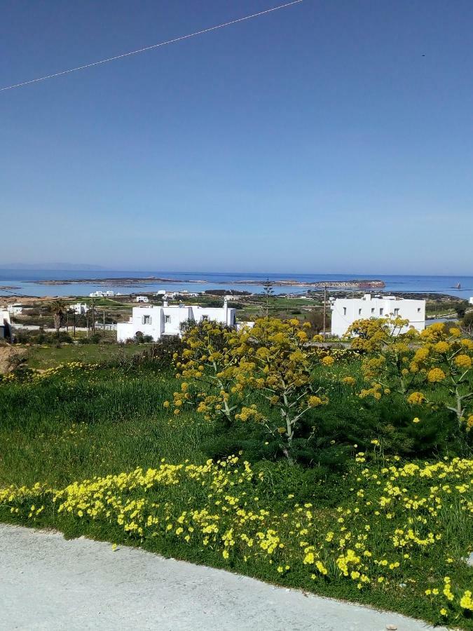 Traditional House Paros Sarakíniko Exterior foto